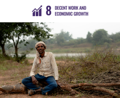 Trees for livelihoods, a financial security solution for the smallholder farming communities of Madhya Pradesh. Coming under the category of SDG 8: Decent Work and Economic Growth