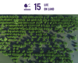 Trees for livelihoods, Large scale programs such as these help ground water retention across the whole region. Coming under the category of SDG 15: Life on Land