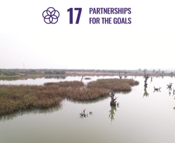 Trees for livelihoods, enables collective action through convergence. The convergence of public resources into the program is crucial for the program’s success. Coming under the category of SDG 17: Partnership for the goals