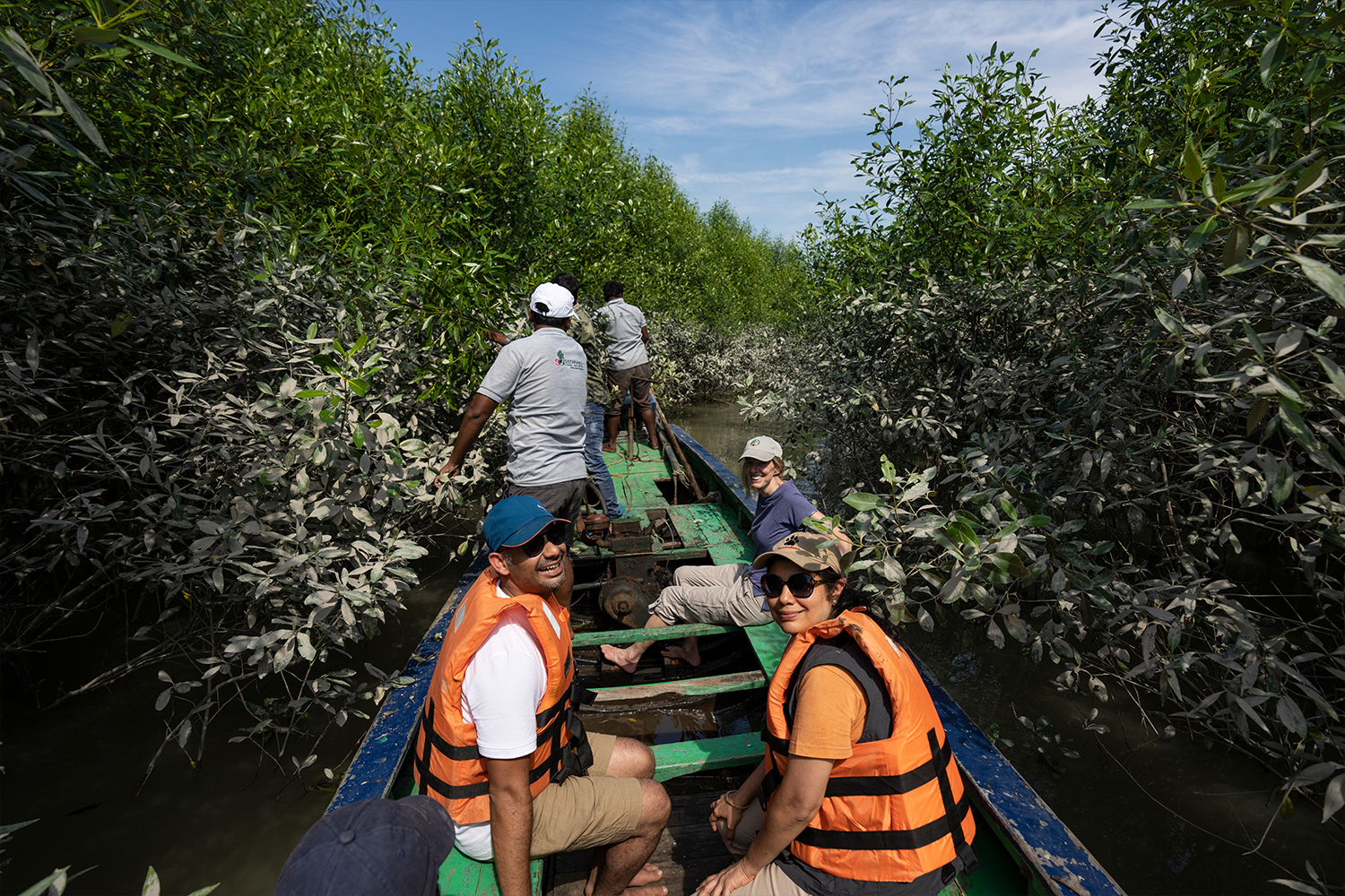 Mangrove Restoration & Livelihoods: Blue Carbon in the Sundarbans